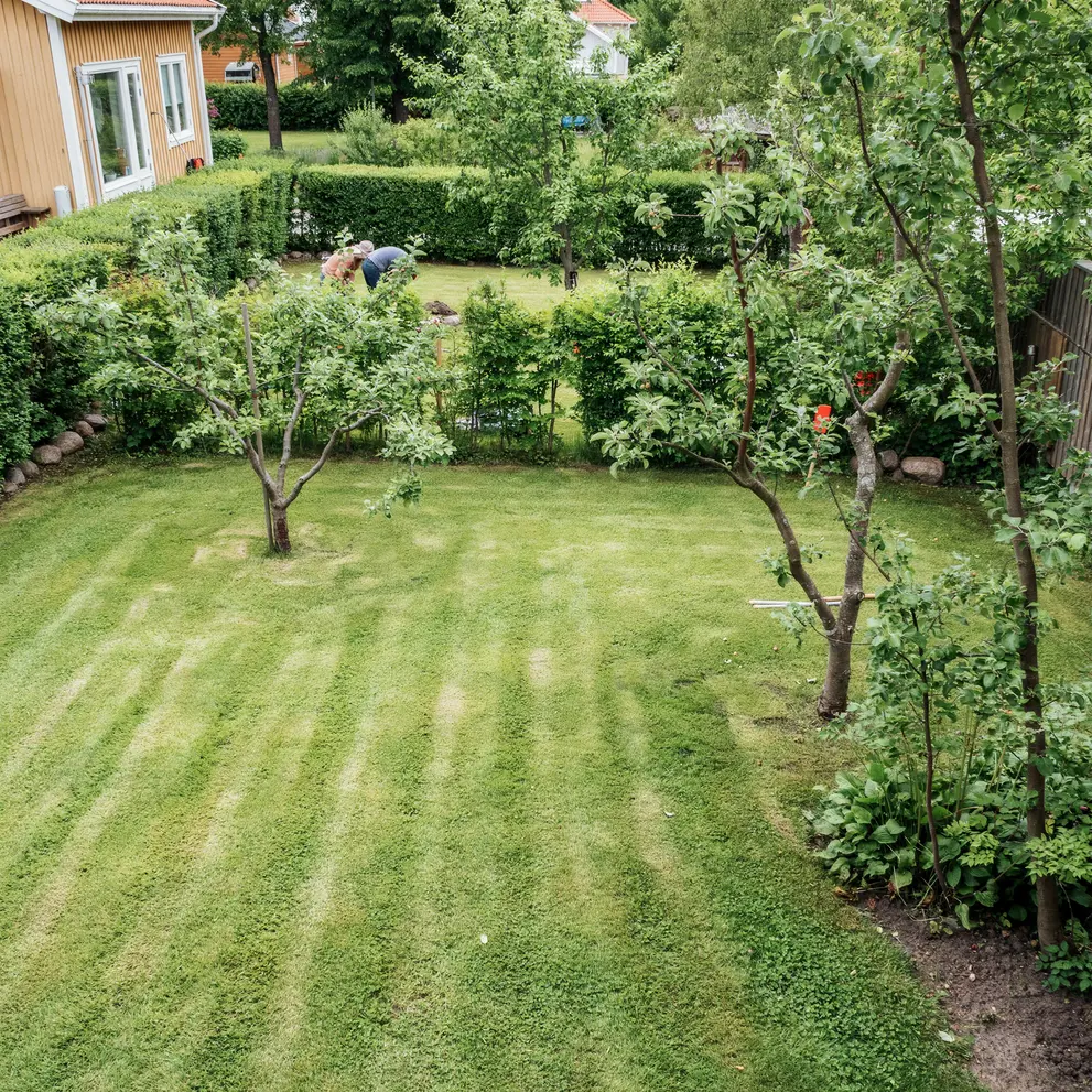 grasklippning hackklippning tradgardsskotsel tradbeskarning enskede stockholm