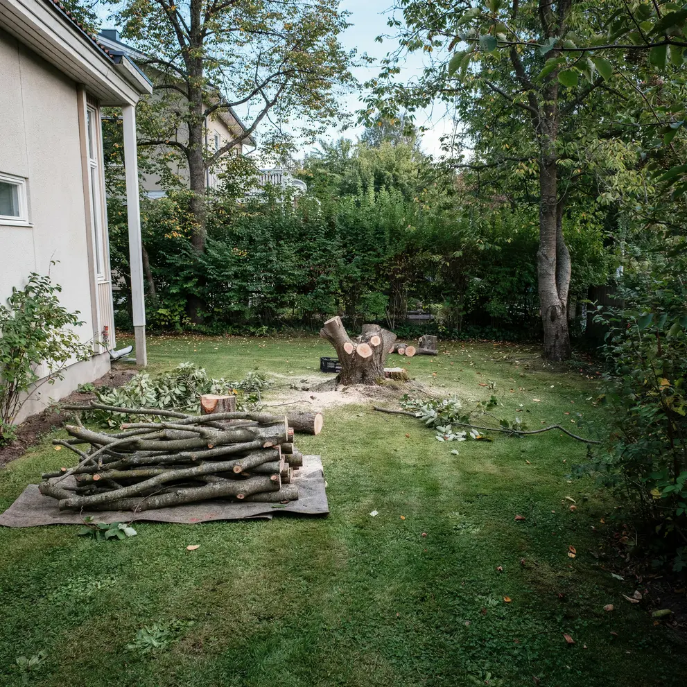 tradfallning stubbfrasning tradgardsskotsel enskede stockholm